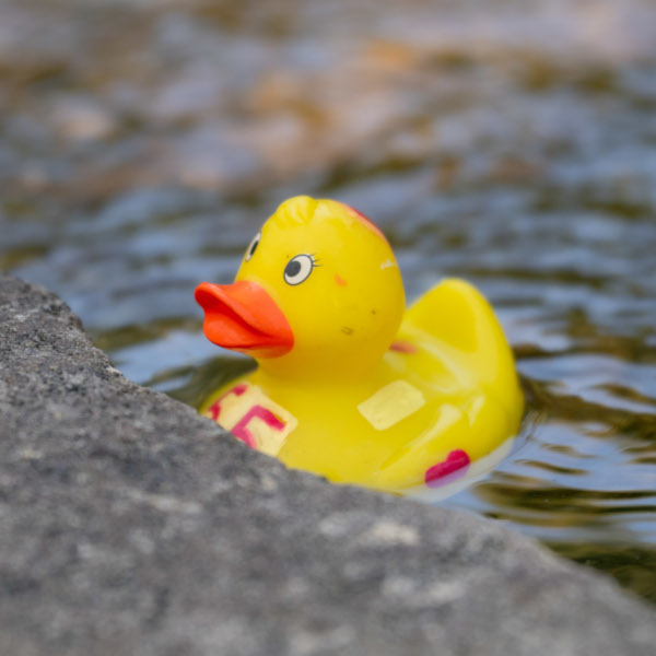 Rubber Duck