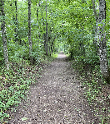 Walking Trail Through the Woods